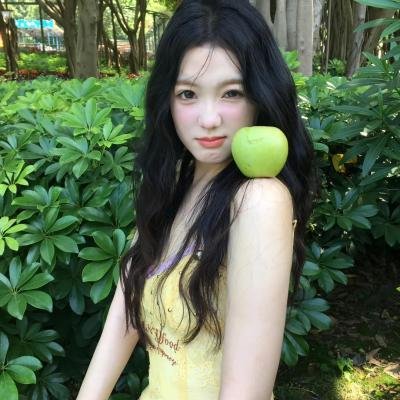 豆豆猫