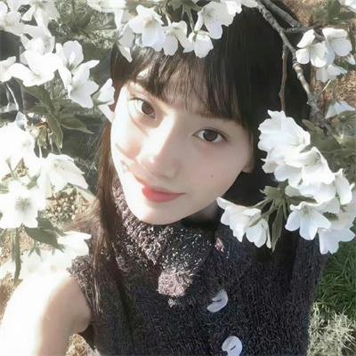 玫瑰计划